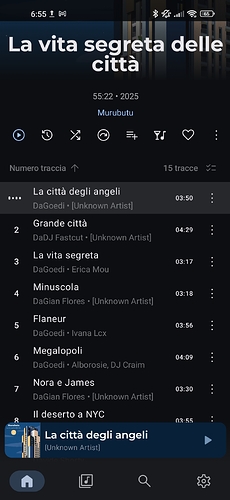 Screenshot_2026-04-30-06-55-45-188_app.symfonik.music.player