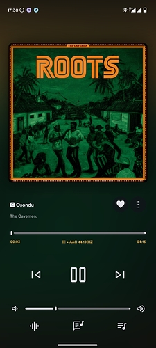 Screenshot_2025-11-11-17-38-13-621_app.symfonik.music.player
