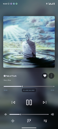 Screenshot_2025-11-11-16-20-26-301_app.symfonik.music.player