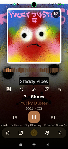 Screenshot_2026-06-28-14-40-55-546_app.symfonik.music.player