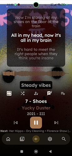 Screenshot_2026-06-28-14-40-58-659_app.symfonik.music.player