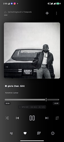 Screenshot_2025-03-19-02-30-31-534_app.symfonik.music.player