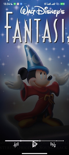 Screenshot_2026-01-07-13-34-07-821_app.symfonik.music.player